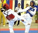 taekwondo 160